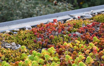 the cost of Ormesby green roof installation