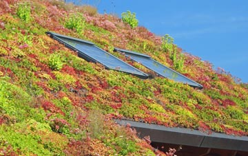 Ormesby living roof systems