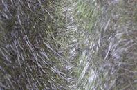 Ormesby fibreglass roof work